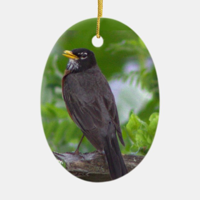 Robin Photo Ornament (Framsidan)