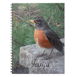 Robin Photo Personlig Handskriftlig Namn Anteckningsbok