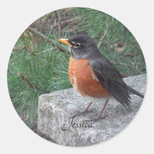 Robin Photo Personlig Namn Runt Klistermärke
