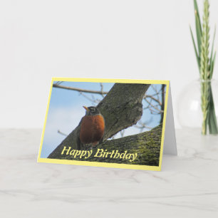 Robin Photography Birthday Kort