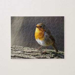 Robin pussel