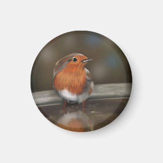 Robin Red Breast gillar en ed Magnet