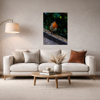 Robin Red Breast Photo Print Poster