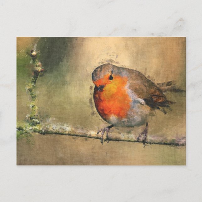 Robin Redbreast Vykort (Framsida)