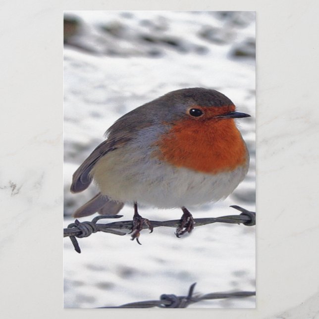 Robin Redbröst Brevpapper (Framsida)