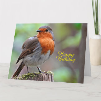 Robin Refbröst Kort