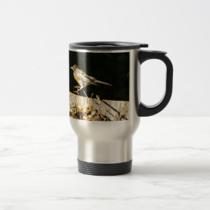 Robin Resemugg