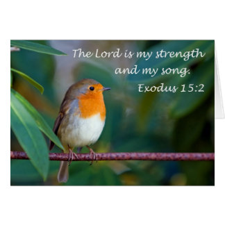 Robin Sång Card Hälsningskort