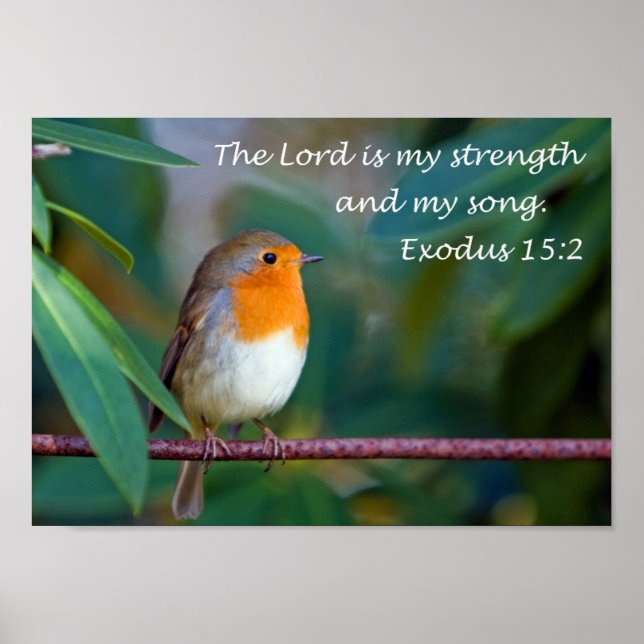 Robin Sång Poster (Framsidan)