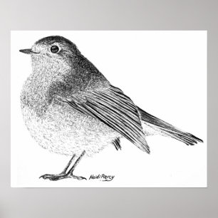 Robin skissar affischen poster