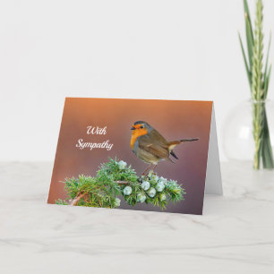 Robin Sympathy Card Kort