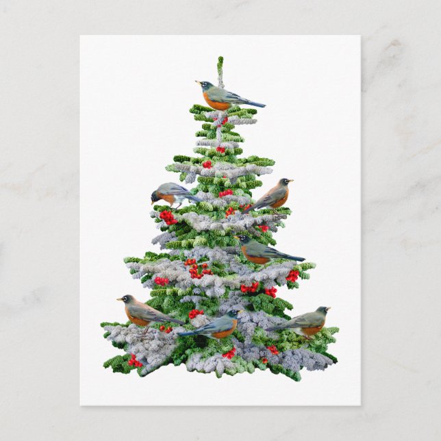 Robin Träd Vykort (Framsida)