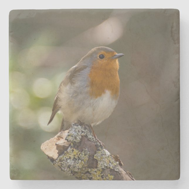 Robin Underlägg Sten (Framsidan)