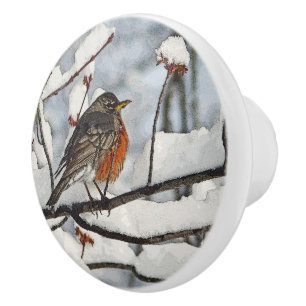 ROBIN UTFÖRD PÅ SNOWY GREN CERAMIC KNOB/PULL KNOPP
