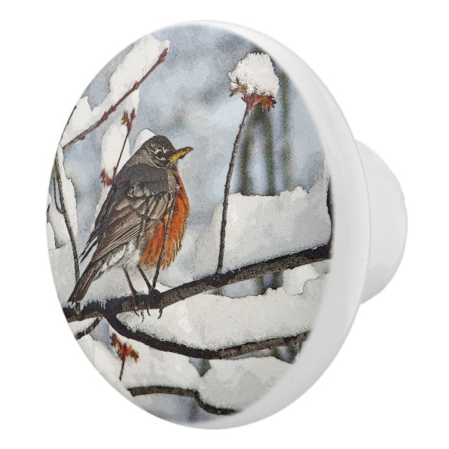 ROBIN UTFÖRD PÅ SNOWY GREN CERAMIC KNOB/PULL KNOPP (Höger)