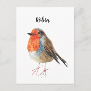 Robin vattenfärgsmålad fågel. Snyggt kort. Vykort