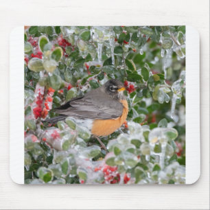 Robin vid jul musmatta