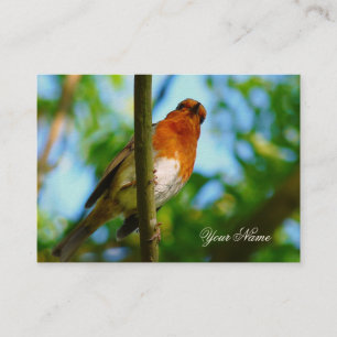 ROBIN VISITKORT