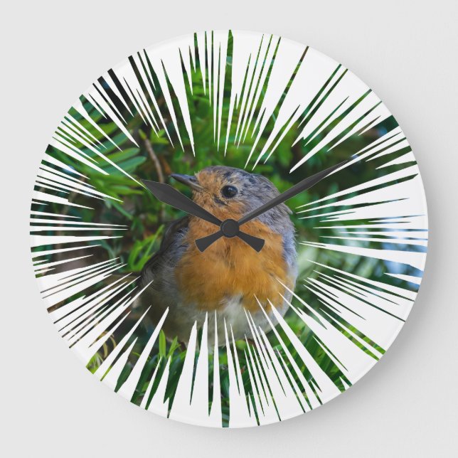 Robin wall klocka (Framsida)