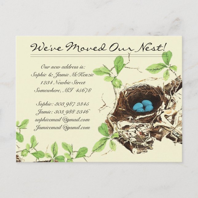 Robins Ägg Blå Ägg i Bo Vi Har Flyttat Meddelande Vykort (Framsida)