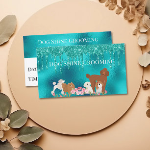 Robins Ägg Blå Hund Grooming Utnämningskort Visitkort