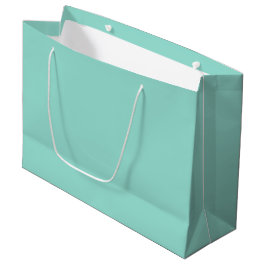 Robin's Egg Blue
