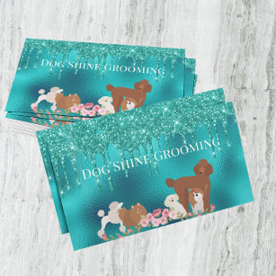 Robin's Egg Blue Hund Grooming Appointment Card Visitkort