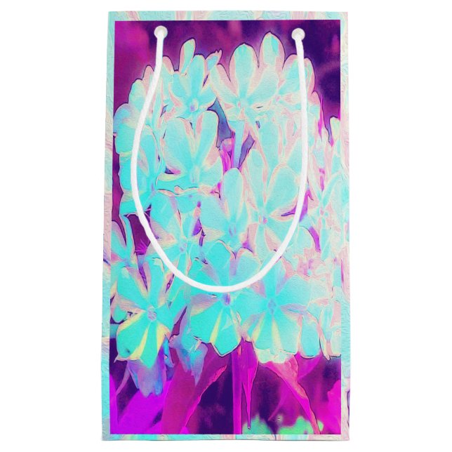 Robin's Egg Blue Peppermint Twist Phlox Flowers (Framsidan)