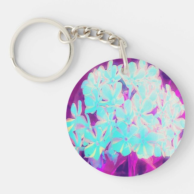 Robin's Egg Blue Peppermint Twist Phlox Flowers (Framsidan)