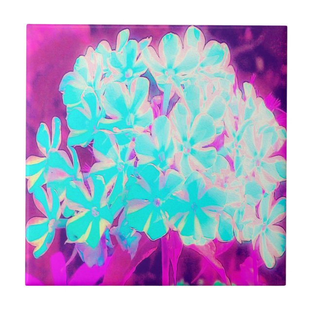 Robin's Egg Blue Peppermint Twist Phlox Flowers Kakelplatta (Framsidan)