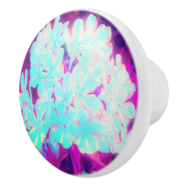 Robin's Egg Blue Peppermint Twist Phlox Flowers Knopp (Höger)