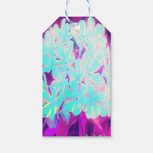 Robin's Egg Blue Peppermint Twist Phlox Flowers Presentetikett (Framsidan)