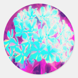 Robin's Egg Blue Peppermint Twist Phlox Flowers Runt Klistermärke