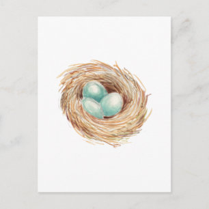 Robin's Egg Nest Blue Watercolor Vykort
