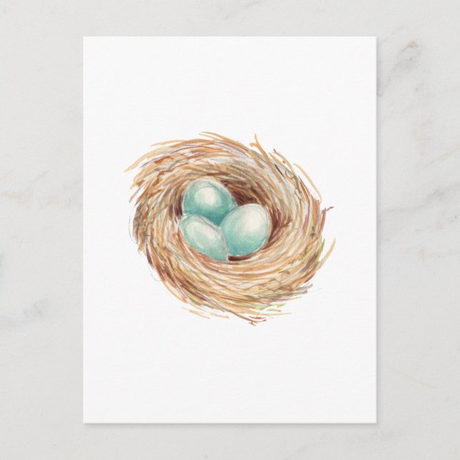 Robin's Egg Nest Blue Watercolor Vykort (Framsida)