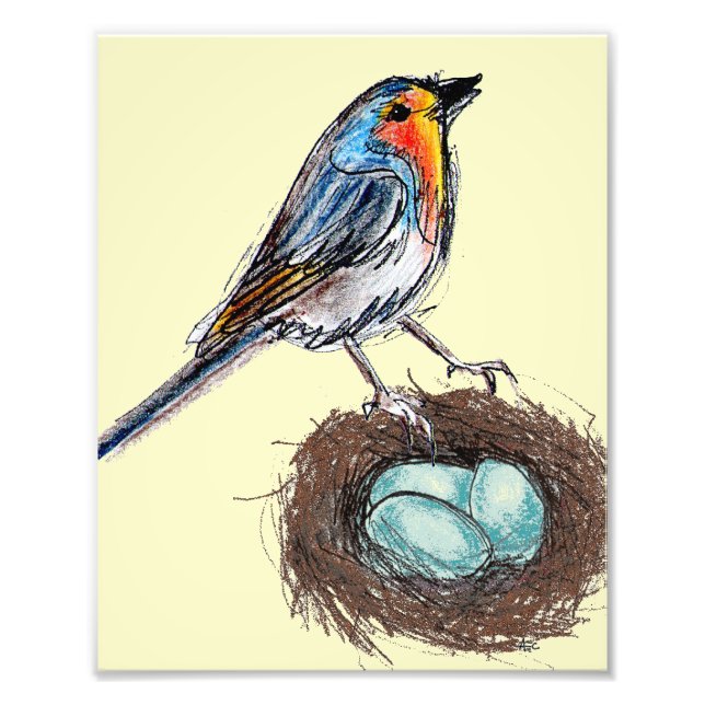 Robin's Egg Nest print art Robin Bird 8x10 Fototryck (Framsidan)