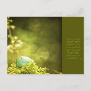 Robins Egg på Moss Photo med inspirationsoffert Vykort