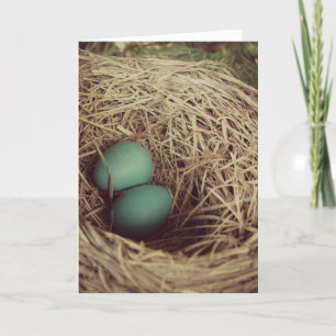 Robins Eggs Påsk Card Kort