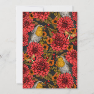 Robins i höstträdgården, röda dahlias på svart