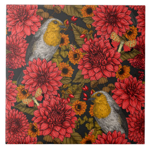 Robins i höstträdgården, röda dahlias på svart kakelplatta