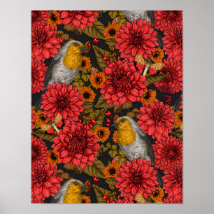 Robins i höstträdgården, röda dahlias på svart poster