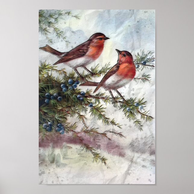 Robins in Winter Poster (Framsidan)