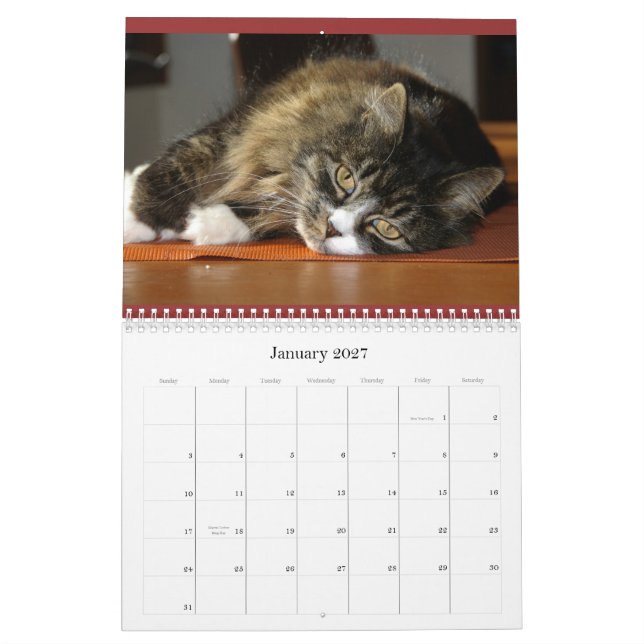 Robins kalender (Jan 2027)