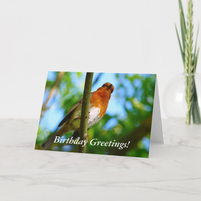 ROBINS KORT (Framsida)