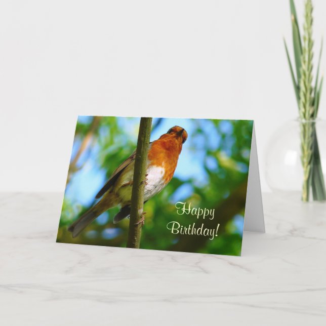 ROBINS KORT (Framsida)