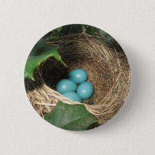 Robin's Nest Button Knapp