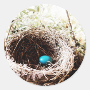 Robin's Nest Runt Klistermärke