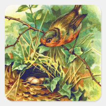 Robin's Nest Vintage Illustration