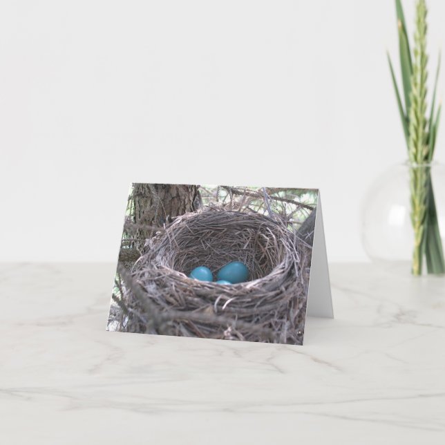 Robin's Nest with Blue Eggs blank note card Kort (Framsida)