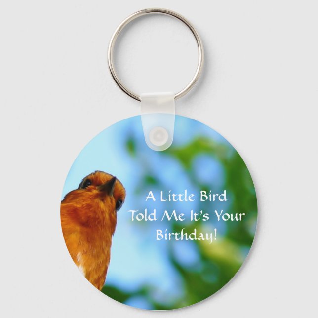 ROBINS NYCKELRING (Framsida)